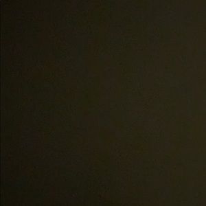 Meet your Posher, Rose